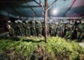 Satgas Koops TNI Habema Temukan 5.000 Batang Ganja di Dua Lokasi di Yahukimo