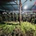 Satgas Koops TNI Habema Temukan 5.000 Batang Ganja di Dua Lokasi di Yahukimo