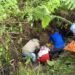 Dilaporkan Hilang dan Fotonya Viral, Tukang Ojek Ditemukan Meninggal Dunia di Hutan Sekitar Kali Kumkum Mimika