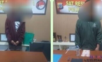 Polisi Ringkus DPO Narkotika di Timika, 38 Paket Sabu dan Seorang Rekannya Ikut Diamankan