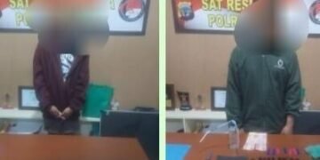 Polisi Ringkus DPO Narkotika di Timika, 38 Paket Sabu dan Seorang Rekannya Ikut Diamankan