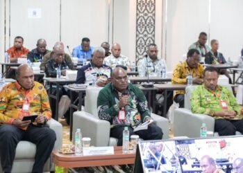 Kedatangan Wamen PPN, Pemerintah Pusat dan Daerah Perkuat Sinergi Percepatan Pembangunan Papua