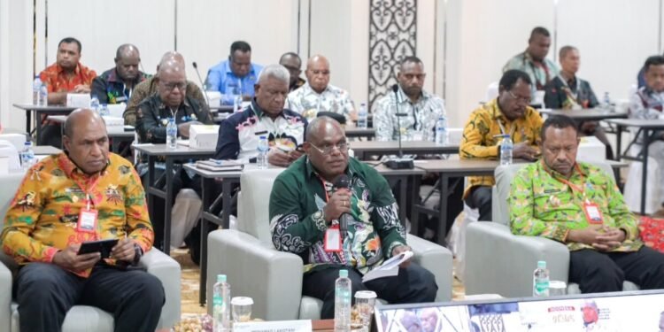 Kedatangan Wamen PPN, Pemerintah Pusat dan Daerah Perkuat Sinergi Percepatan Pembangunan Papua