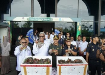 Bupati dan Wabupati Mimika Resmikan UMKM Mimika Ekspor Perdana 240 Kilogram Kepiting Bakau ke Malaysia