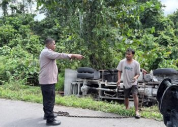 Sopir Diduga Mengantuk, Truk Bermuatan Kayu Terperosok di Jalan Logpond Timika