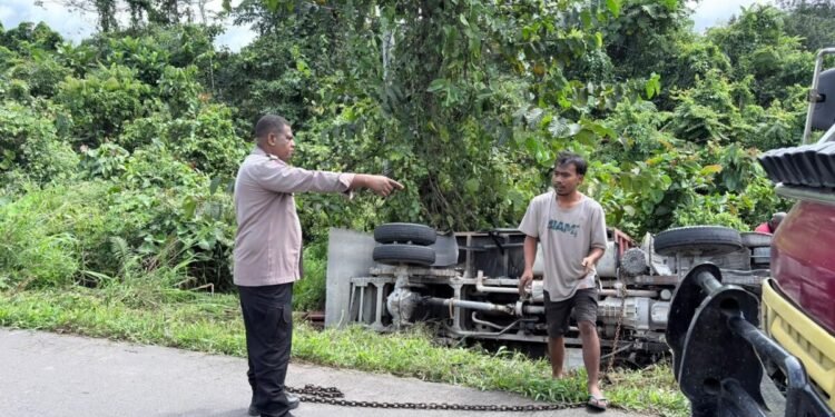 Sopir Diduga Mengantuk, Truk Bermuatan Kayu Terperosok di Jalan Logpond Timika