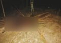Pria Meninggal Dunia Usai Diserang di Kwamki Narama, Tubuh Dipenuhi Anak Panah Tertancap