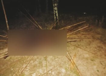 Pria Meninggal Dunia Usai Diserang di Kwamki Narama, Tubuh Dipenuhi Anak Panah Tertancap