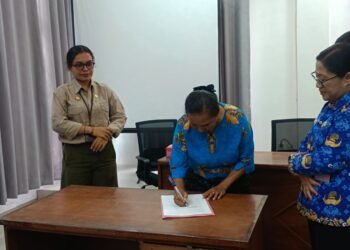 Mimika Baru Perkuat Penanganan Stunting dan Kusta, Data Kesehatan Akan Disatukan